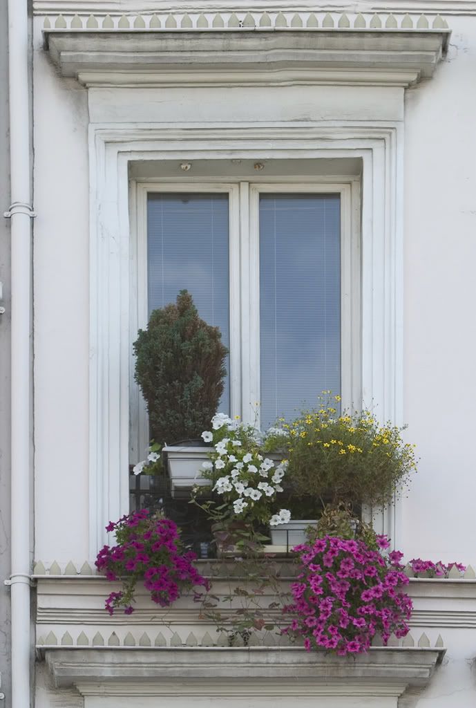 Cardinal Woods Community Information PinevilleCharlotte NC